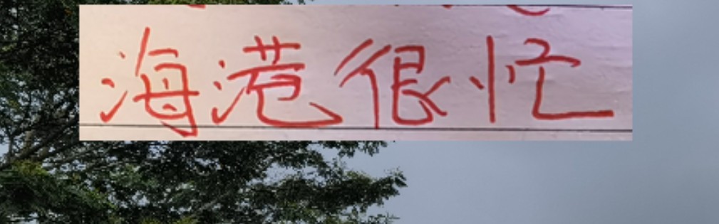 乐鱼-2026年海港应该是最忙的球队 去年还有申花陪 今年只能是孤勇者