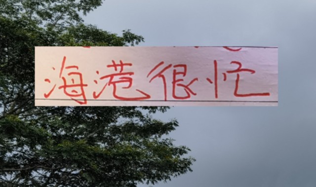 乐鱼-2026年海港应该是最忙的球队 去年还有申花陪 今年只能是孤勇者