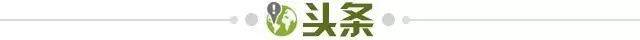 709a32e1-4593-4ec2-8842-4aa3e904cdf1.jpg@!img01